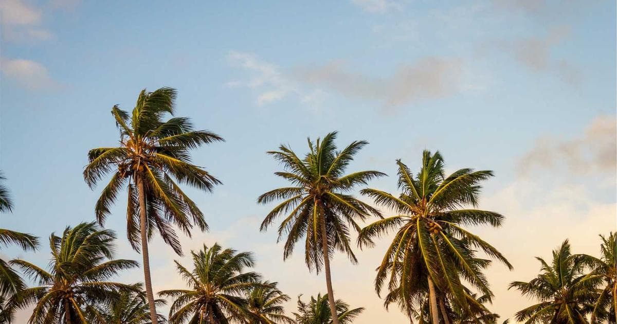 Africa & Middle East Public Affairs Outlook 2025